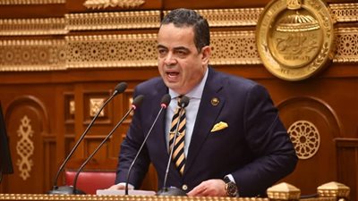 عصام هلال: نتائج الشيوخ تؤكد ثقة الشعب ومستعدون لانتخابات النواب | حوار