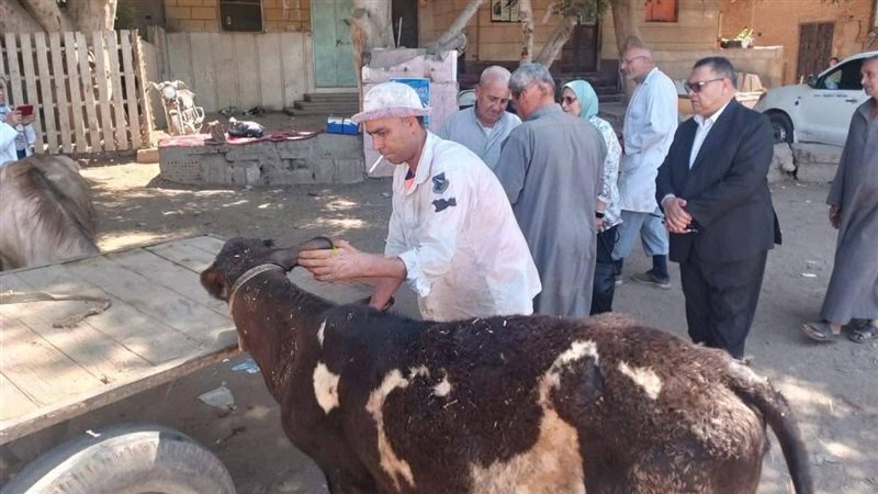جانب من اعمال الحملة