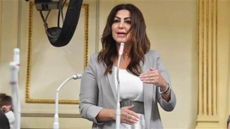 النائبة دينا عبدالكريم