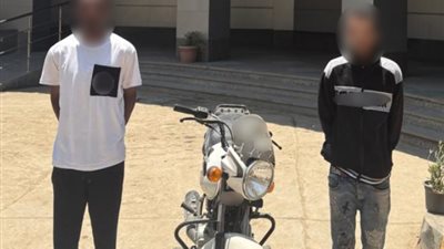 بسبب كيس بلاستيكي على اللوحات.. ضبط شخصين بالقاهرة بعد تداول فيديو