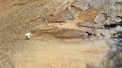 انفجار فى خط مياه بحاري بعزبة قاسم بمركز تلا بالمنوفية