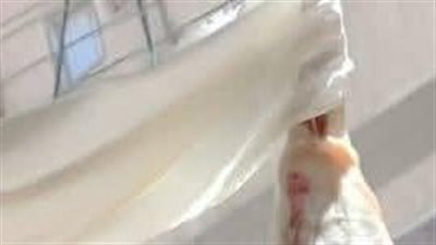 ضبط 250 كجم من اللحوم والدواجن غير الصالحة ومجهولة المصدر بكفر الشيخ 