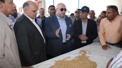 محافظ بني سويف يوجه بدراسة وتقييم منظومة توريد القمح