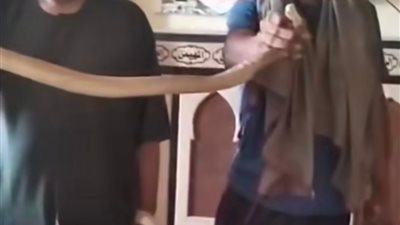 العثور عللى ثعبان كوبرا داخل مسجد بمركز شبراخيت بالبحيرة 