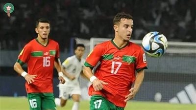 ناقد مغربي: 