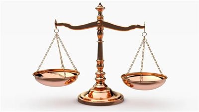 الطب الشرعي يثبت أهلية قاتل خالته في الإسماعيلية ويحال إلى المحكمة