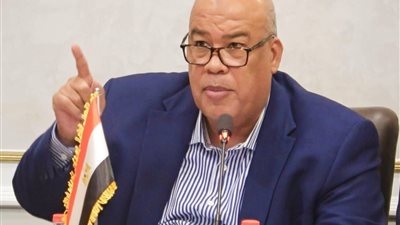 أيمن العشري يحذر من حملات التشكيك ويؤكد: وعي المصريين هو خط الدفاع الأول