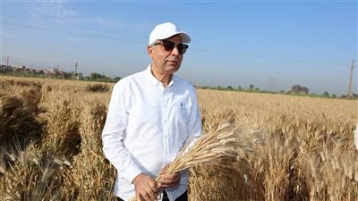  بزيادة 180ألف طن.. محافظ المنيا: توريد 515ألف طن قمح منذ بدء الموسم