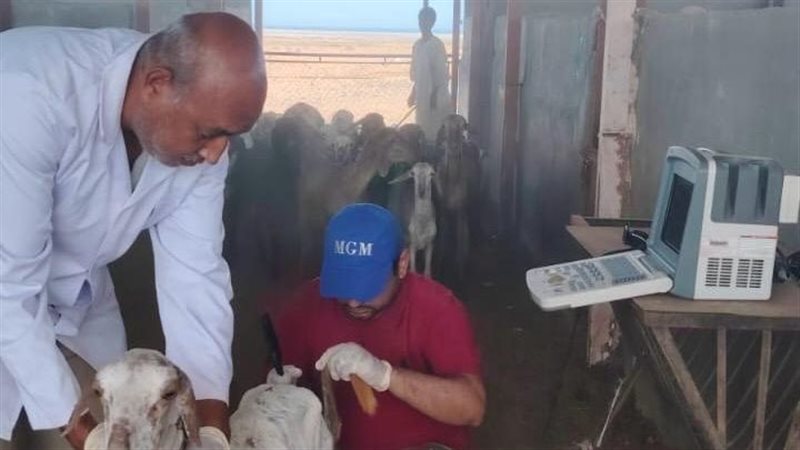 بحوث الصحراء 