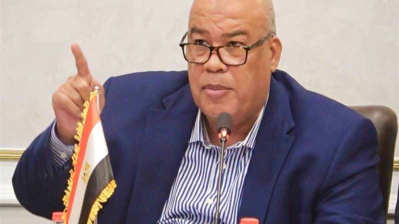 أيمن العشري