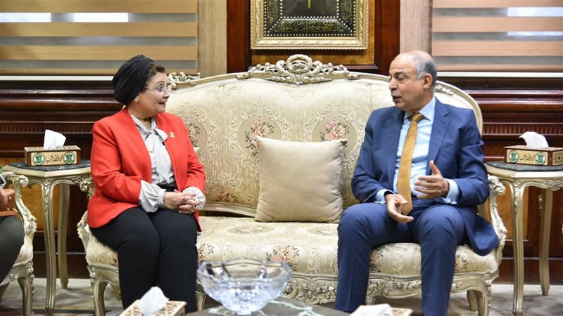 محافظ المنيا