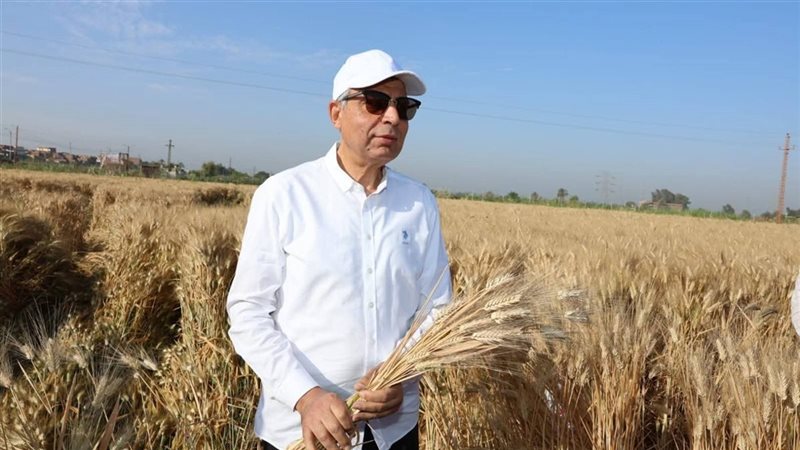 محافظ المنيا