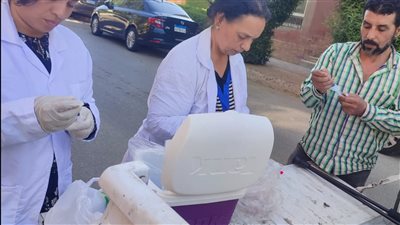 محافظ الجيزة: تجهيز شلتر إمبابة لإطلاق برنامج تعقيم الكلاب الضالة