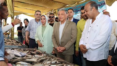 بث مباشر.. محافظ الإسماعيلية يفتتح مبادرة أسماك بلدنا لأولاد البلد