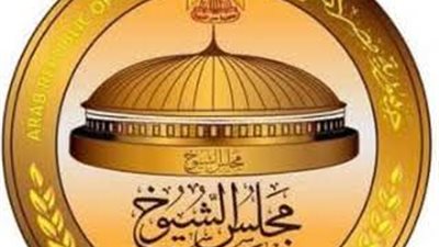 استبعاد 7 مرشحين.. القائمة النهائية لمرشحي الفردي لانتخابات الشيوخ بالبحيرة