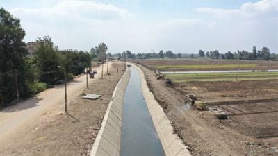 ألقاه في المياه.. مُدمن يُنهي حياة نجل شقيقه في كفر الشيخ 