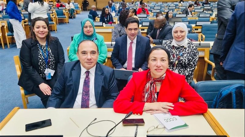الدكتورة ياسمين فؤاد
