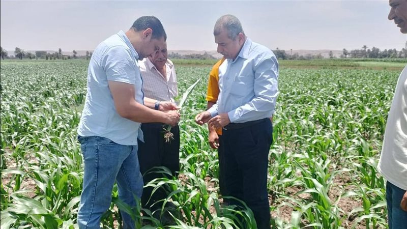 زراعة أسيوط