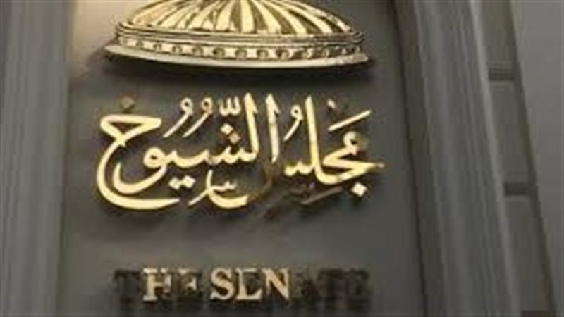 القادمة النهائية