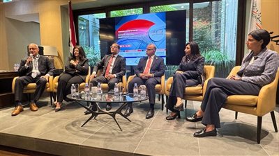 فريد: قصة إصلاح القطاع المالي غير المصرفي تتيح فرص استثمارية في أنشطة مختلفة