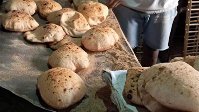 تحرير 99 محضرا.. جهود رقابية مكثفة بمحافظة السويس لضبط الأسواق