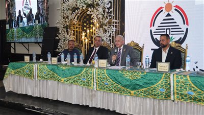 القليوبية تشتعل انتخابيًا مع انطلاق ماراثون الدعاية لمجلس الشيوخ