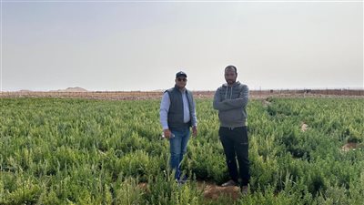 خبراء بحوث الصحراء يواصلون جولاتهم الميدانية ضمن مبادرة “اسأل واستشير”