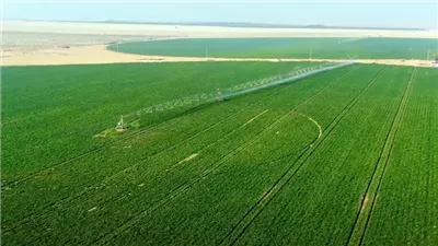 “الزراعة”: مشروع الدلتا الجديدة يهدف إلى تحقيق الأمن الغذائي