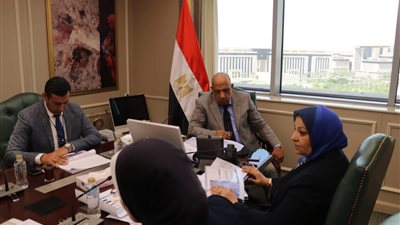 وزير الكهرباء والطاقة المتجددة يتابع مستجدات الموقف التنفيذي 