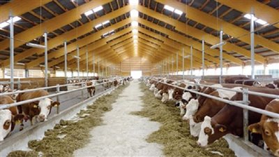 طارق سليمان: 9.7 مليار جنيه دعم المشروع القومي لـ