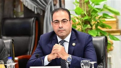 أمانة المصريين بالخارج بحزب مستقبل وطن تبحث الاستعدادات للانتخابات البرلمانية 