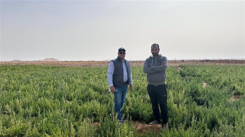 جولة ميدانية