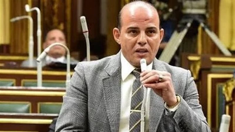 النائب عمرو القطامي