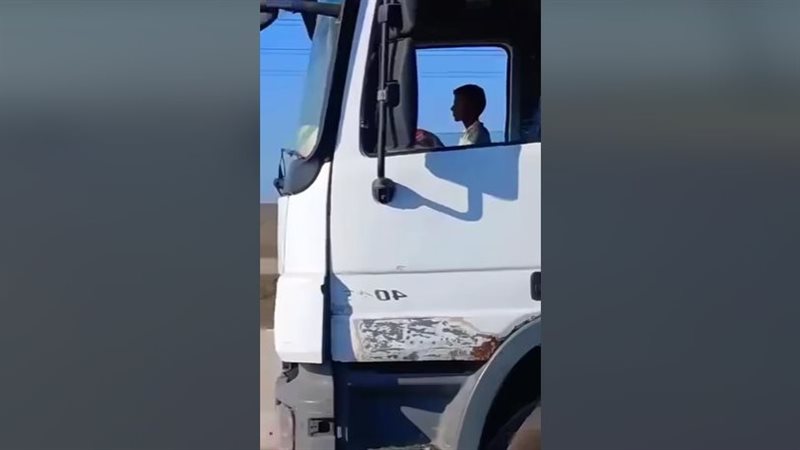 ارشيفية