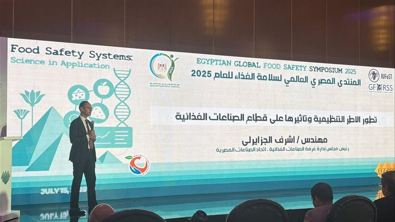 المهندس أشرف الجزايرلي