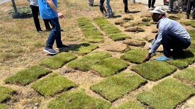 «رأس البر تتجمّل».. دمياط تطلق خطة شاملة لاستقبال المصطافين