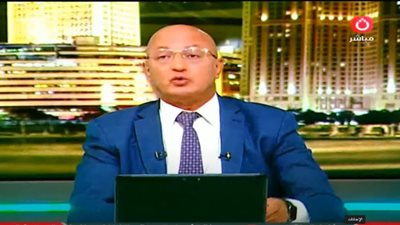 سيد علي يرد بقوة: العلاقات المصرية السعودية 