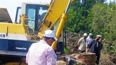 استجابة للمزارعين.. محافظ كفرالشيخ يوجه بتطهير ترعة رى قرية صندلا