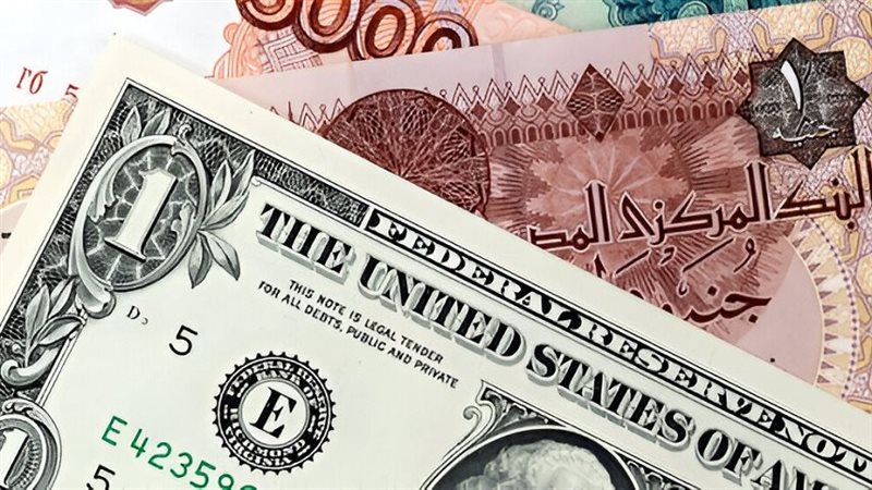 سعر الدولار اليوم