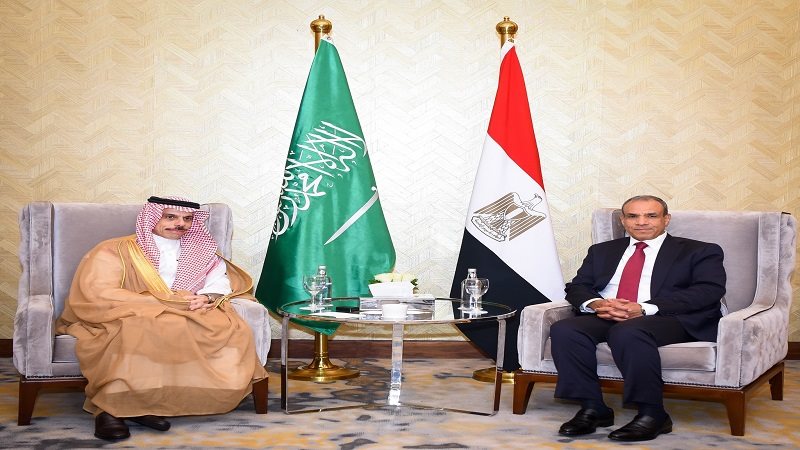 بدر عبد العاطي وفيصل
