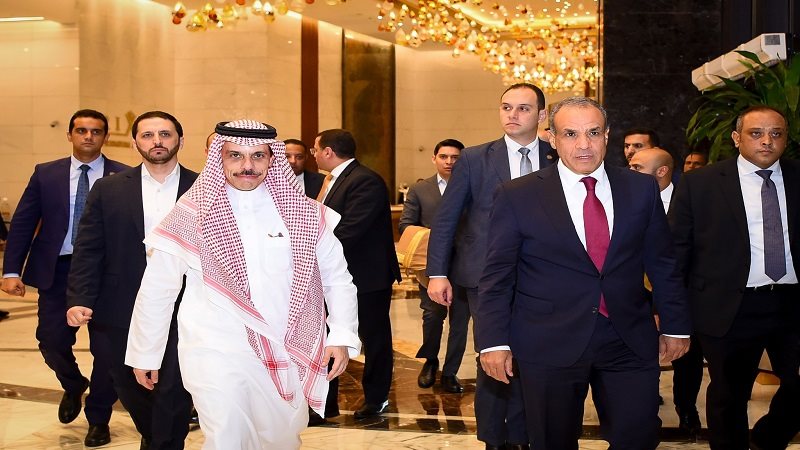 وزيرا خارجية مصر