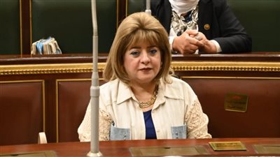 «خارجية النواب»: دعوات التظاهر أمام السفارات «ستار مكشوف لأجندات مأجورة»