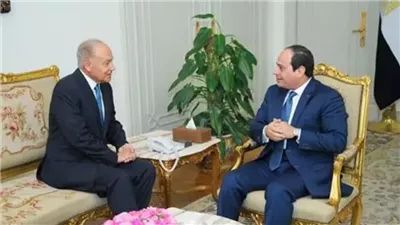 الكشكي: لقاء الرئيس السيسي مع أبو الغيط يكشف دور الجامعة العربية العربية