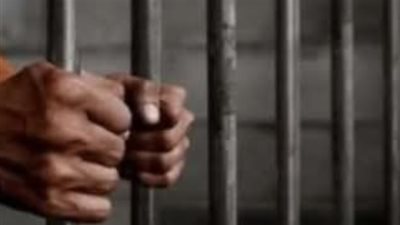 السجن المؤبد لخمس متهمين بتشكيل عصابي للاتجار بالمخدرات في البحيرة