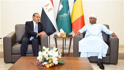 وزير الخارجية: مصر تولي أولوية متقدمة لإنجاز مشروع الطريق البري بين مصر وتشاد