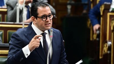 النائب علاء عابد: نرفض  التظاهر أمام السفارة المصرية في تل أبيب