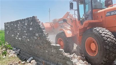 إزالة 11 حالة تعد على الأراضي الزراعية بكفرالشيخ ضمن الموجة الـ 26