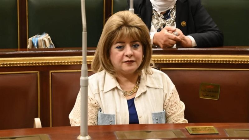 النائبة هناء أنيس