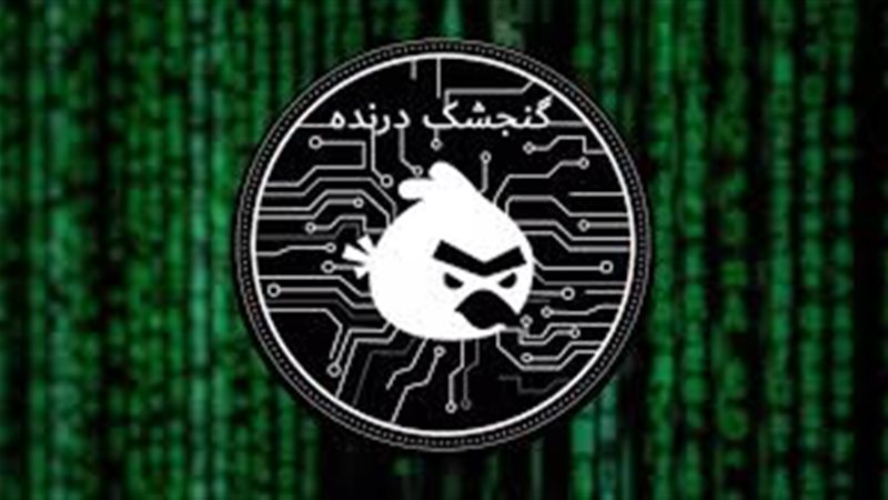 العصفور المفترس 