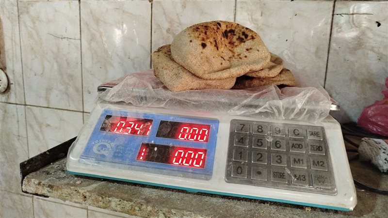 تموين المنيا